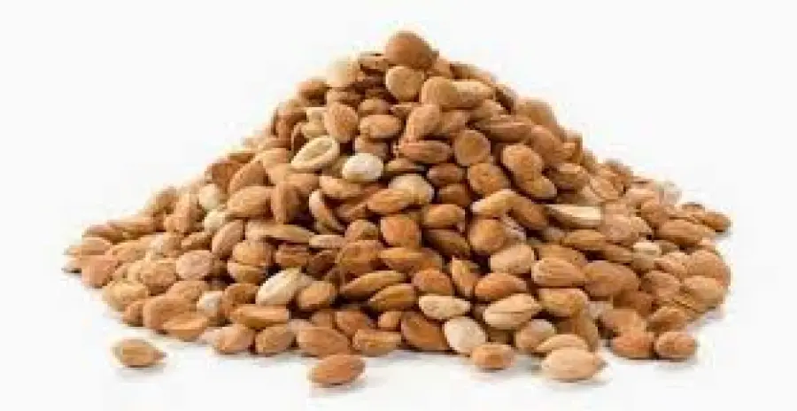 Tumori: assieme ai farmaci anche le molecole naturali per migliorare le terapie