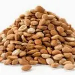 Tumori: assieme ai farmaci anche le molecole naturali per migliorare le terapie