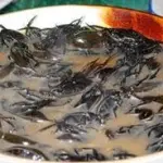 Alimentazione: arriva il sì di Strasburgo per il novel food