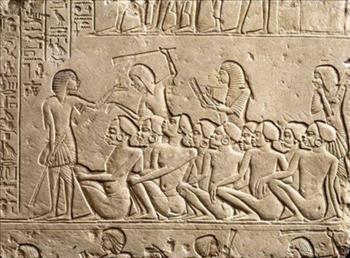 L'Egitto millenario sbarca a Bologna con una mostra di reperti storici senza precedenti