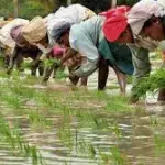 India, la protesta degli agricoltori del Punjab contro il governo per i mancati indennizzi