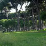 Ostia, 63enne polacca trovata cadavere in una pineta