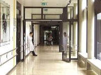 Mucca pazza, caso sospetto a Padova