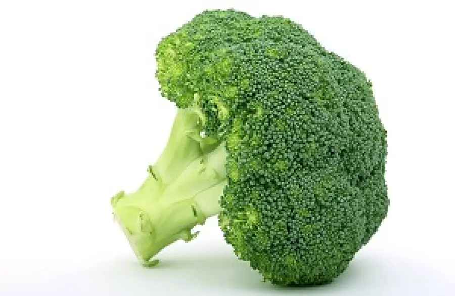Diabete: una cura dai broccoli