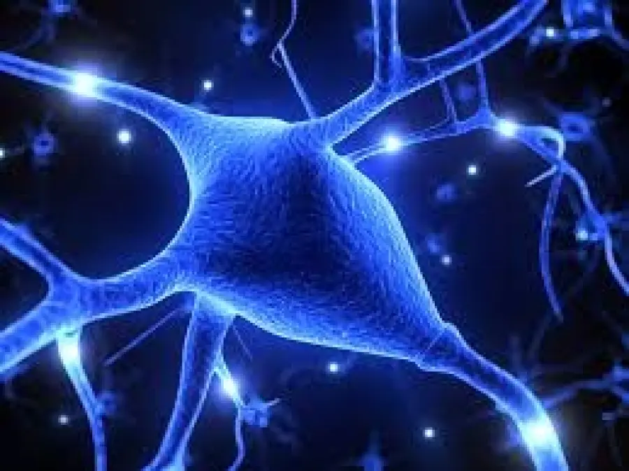 Sclerosi Multipla: la CCSVI potrebbe derivare dalla clamidia