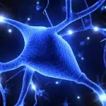 Sclerosi Multipla: la CCSVI potrebbe derivare dalla clamidia