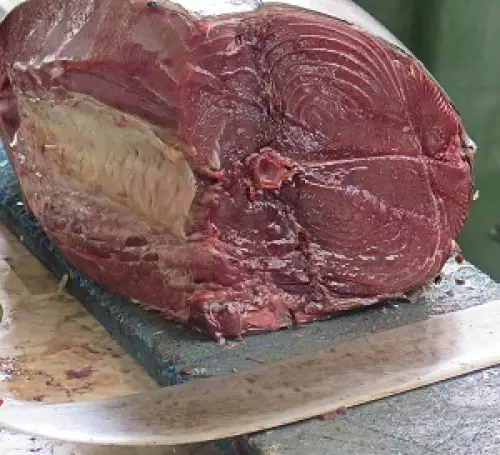 Rischio sindrome sgombroide per tonno avariato dalla Spagna