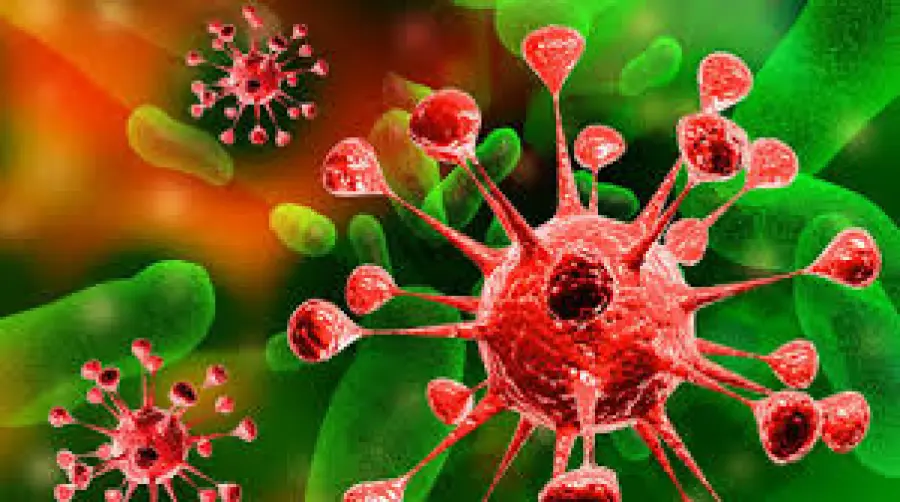 Cancro: scoperta molecola anti-tumorale