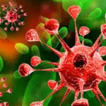 Cancro: scoperta molecola anti-tumorale