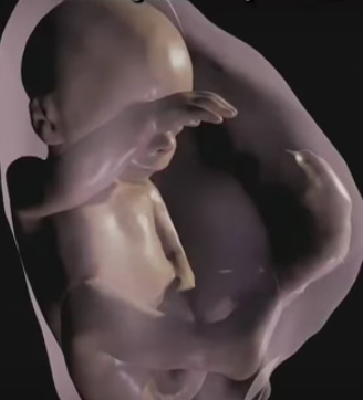 Feto in 3D grazie alla risonanza con la realtà virtuale