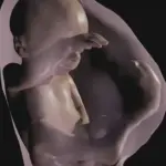 Feto in 3D grazie alla risonanza con la realtà virtuale