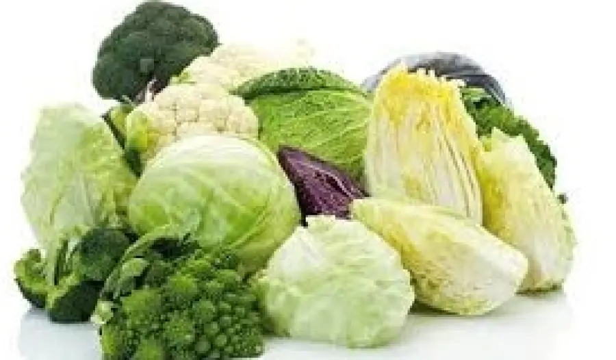 Insalata in busta: rischio salmonella