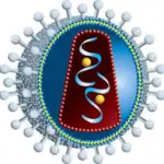 HIV: nuova speranza di cura con le forbici molecolari