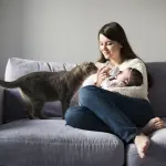 Il miglior divano per un monolocale