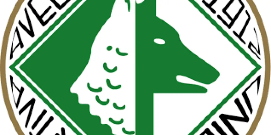 Diretta Avellino-Trapani oggi 10 settembre: info streaming