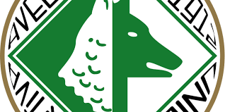 Diretta Avellino-Trapani oggi 10 settembre: info streaming