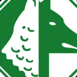 Diretta Avellino-Trapani oggi 10 settembre: info streaming