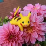 Pokemon Go: dagli smartphone al cinema