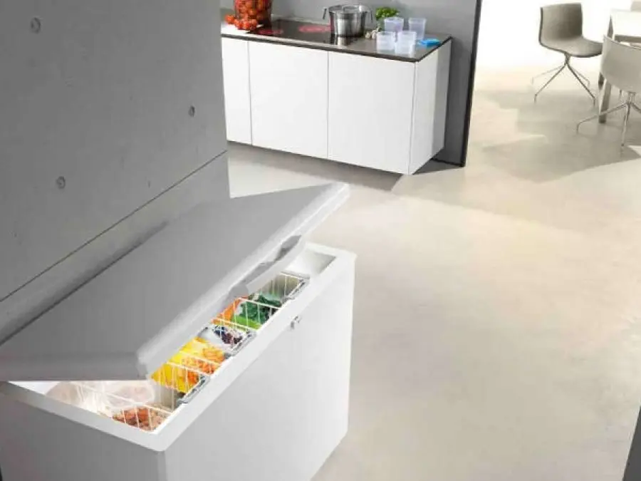 Congelatori a pozzetto, ecco quali sono i migliori modelli sul mercato