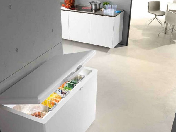 Congelatori a pozzetto, ecco quali sono i migliori modelli sul mercato