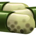 Antibiotici, quanto ne sappiamo in Italia?