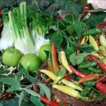 La dieta della longevità a base di grassi insaturi: gli alimenti che li contengono