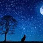 C'era una volta il cielo stellato: l'inquinamento luminoso oscura le stelle