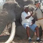 Giornata Mondiale Ambientale 2016 contro il traffico illecito degli animali