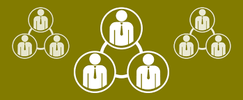 Holacracy, un nuovo modello organizzativo dell'azienda che mette al centro i lavoratori