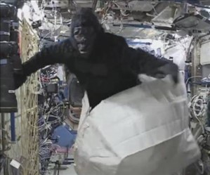 Houston abbiamo un problema: c'è un gorilla nello spazio