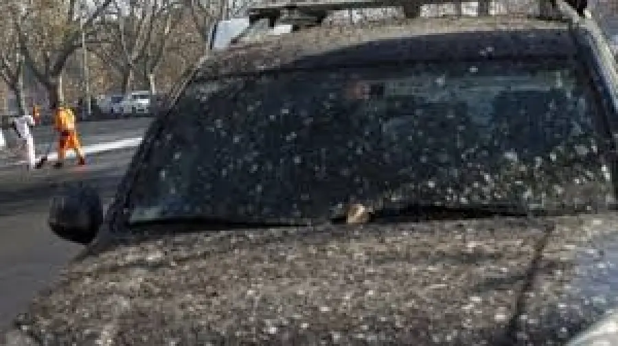 Emergenza guano a Roma: abitanti a rischio tubercolosi?
