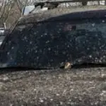 Emergenza guano a Roma: abitanti a rischio tubercolosi?