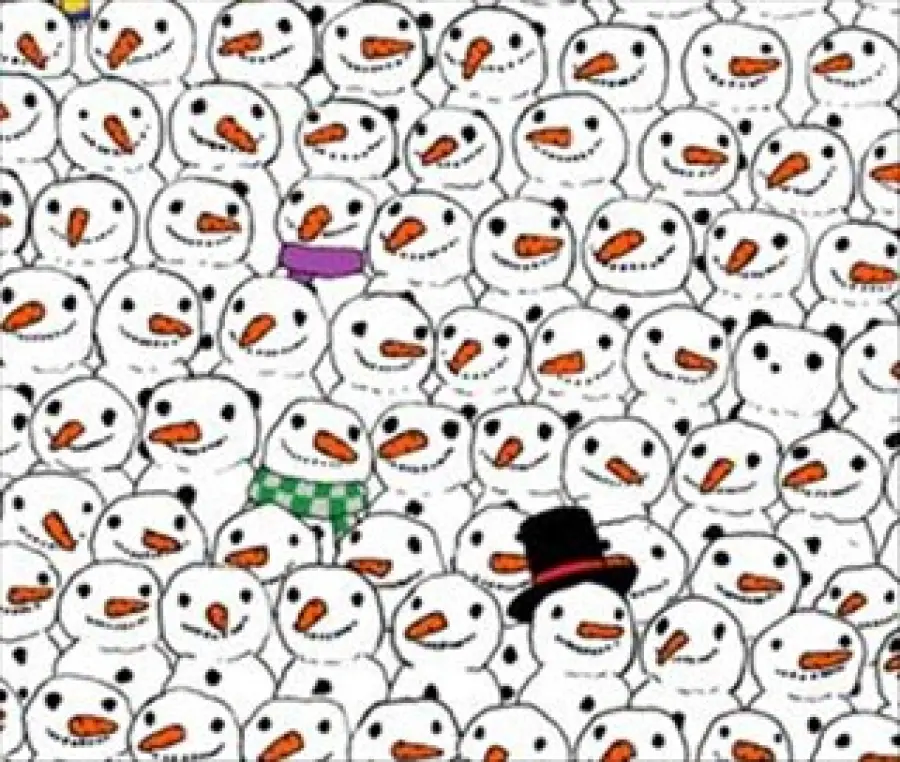 Trova il panda mimetizzato tra i pupazzi di neve: il gioco di fine anno che fa impazzire il web