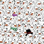 Trova il panda mimetizzato tra i pupazzi di neve: il gioco di fine anno che fa impazzire il web