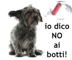 Botti di Capodanno e animali domestici: come proteggere i nostri amici a 4 zampe