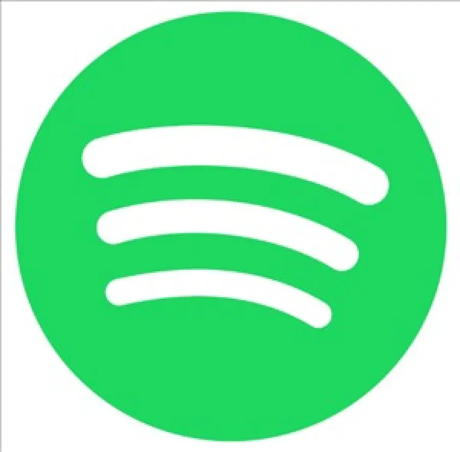 Spotify Party, il dj 