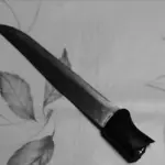 Torino, un cuoco cinese girava in metro con mannaia e coltello