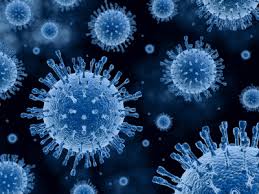 Virus Influenza